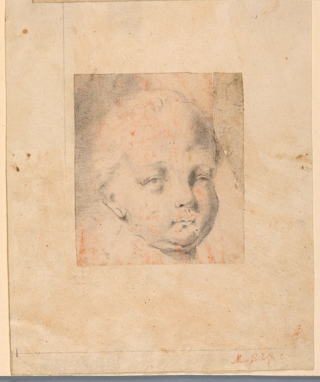 Dibujo, Estudio: Cabeza de niño, 1810-34 de Mauro Gandolfi