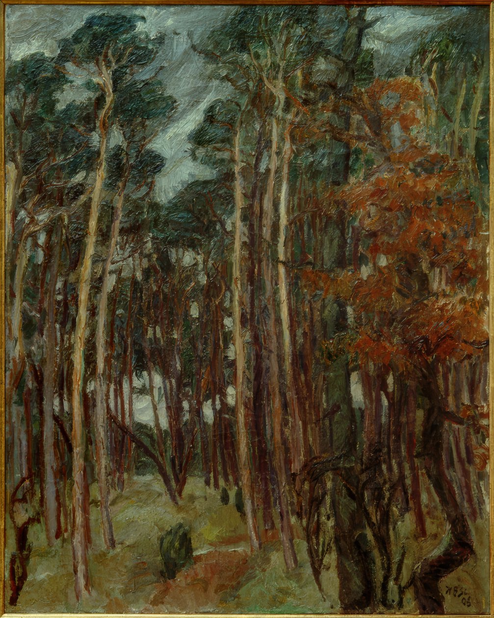 Bosque de Hermsdorf en un día gris de Max Beckmann