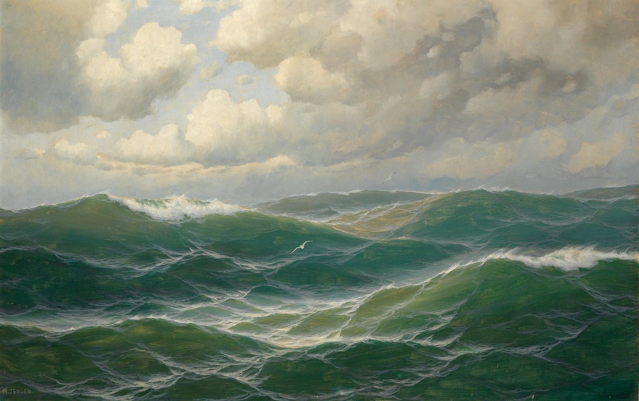 Gaviotas sobre las olas de Max Jensen
