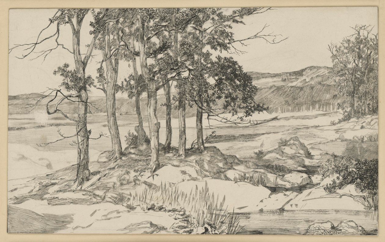 Paisaje con un bosquecillo de pinos y un estanque de Max Klinger