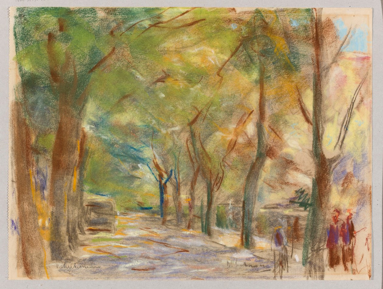 Calle Colomier cerca de Wannsee de Max Liebermann