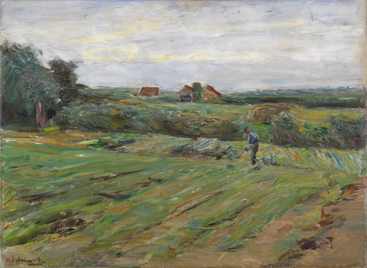 Campo de cosecha de Max Liebermann