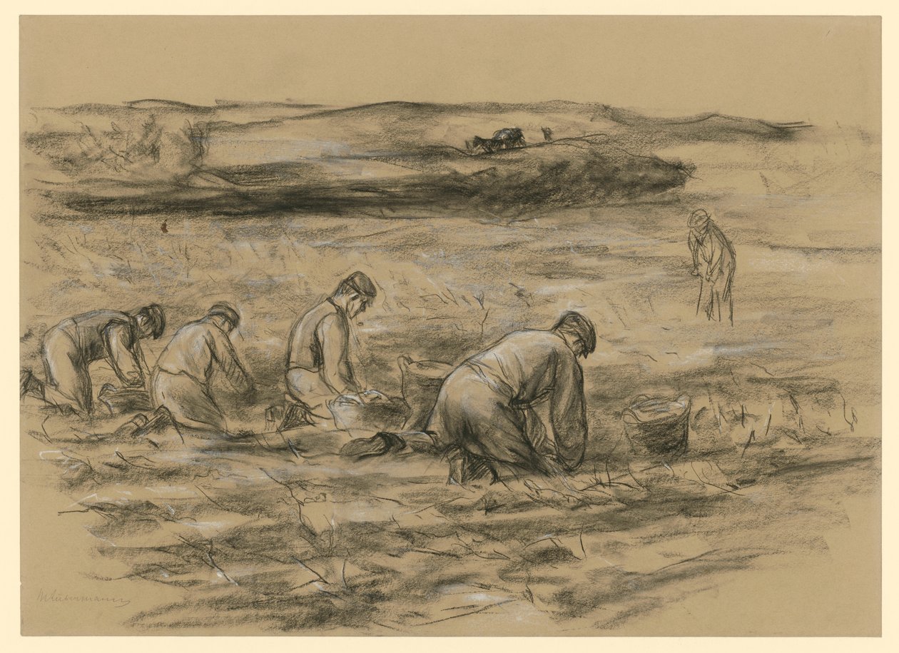 Recolector de patatas en Zandvoort de Max Liebermann