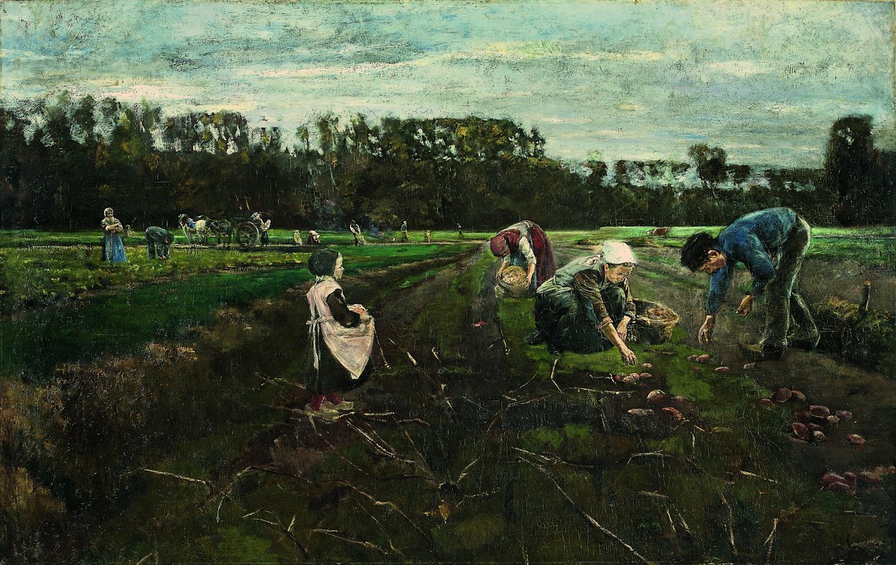 Cosecha de patatas de Max Liebermann