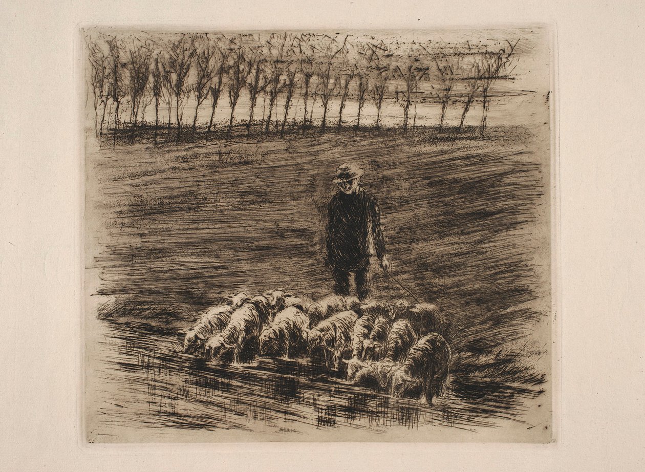 Rebaño de ovejas junto al abrevadero de Max Liebermann