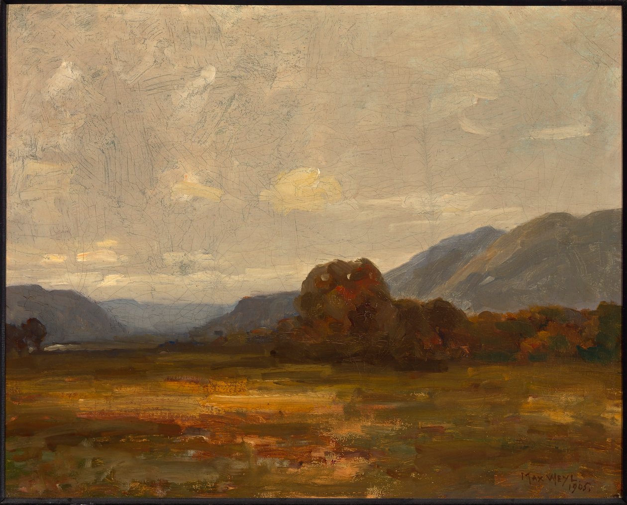 Paisaje de Max Weyl
