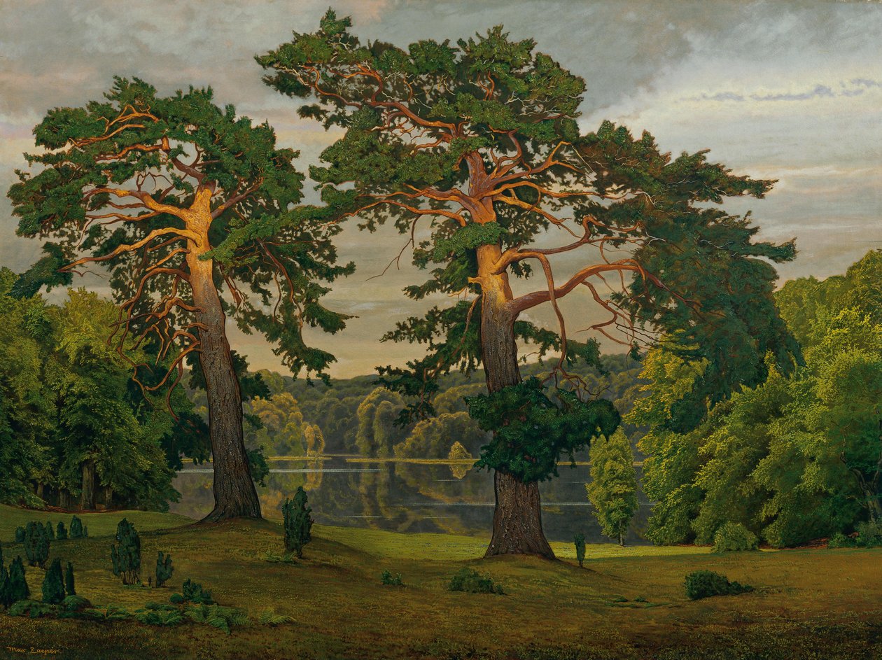 Pinos en la linde del bosque de Max Zaeper