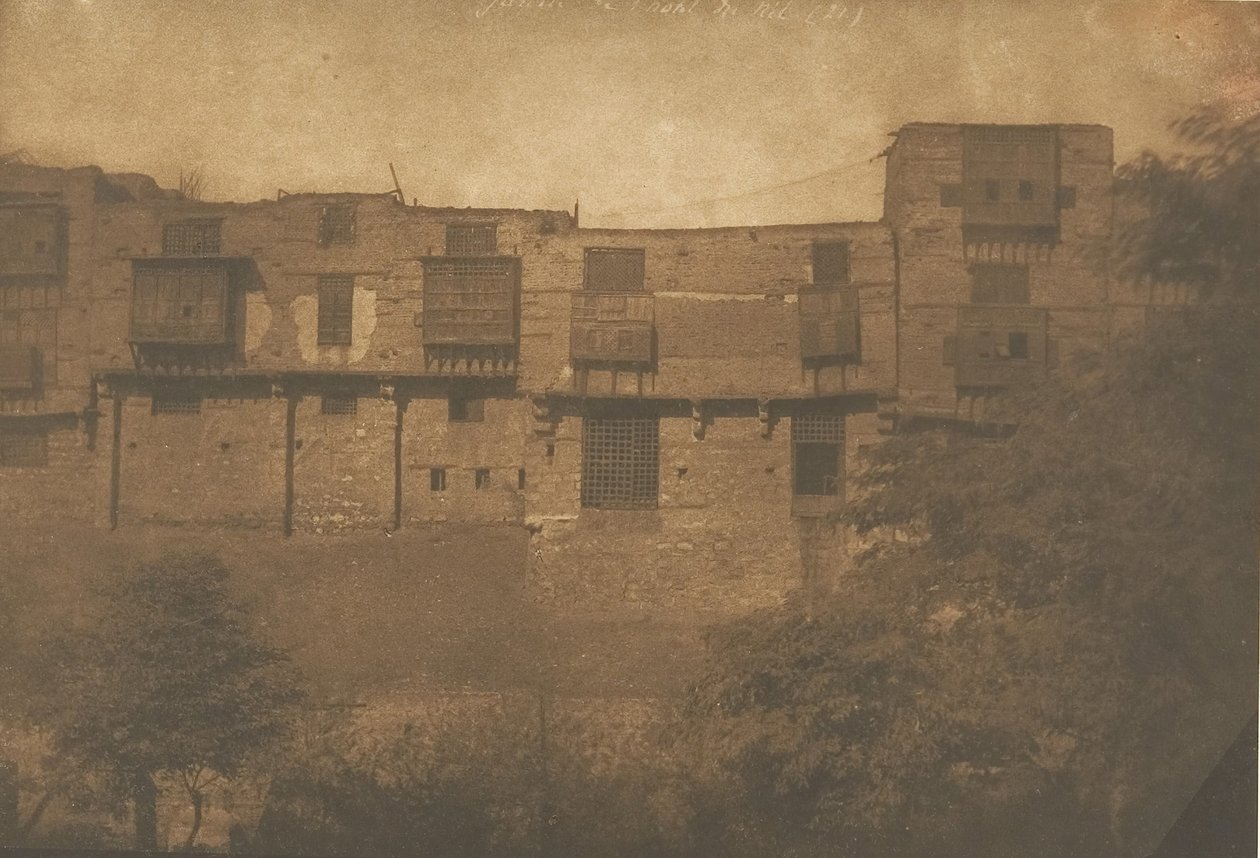 Vista tomada de un jardín del barrio Franc, en El Cairo, diciembre 1849-enero 1850 de Maxime Du Camp