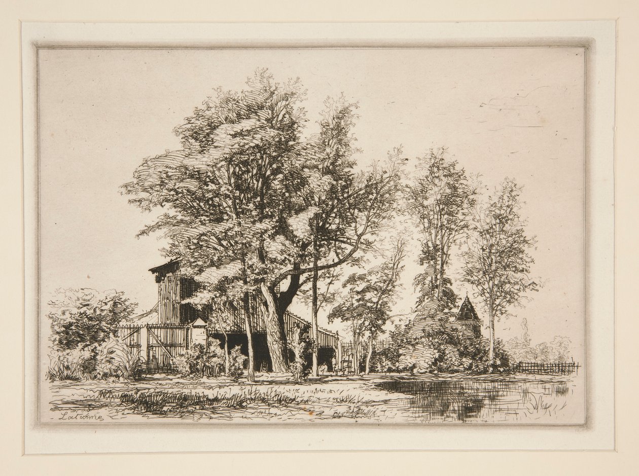Acacia Trees de Maxime Lalanne