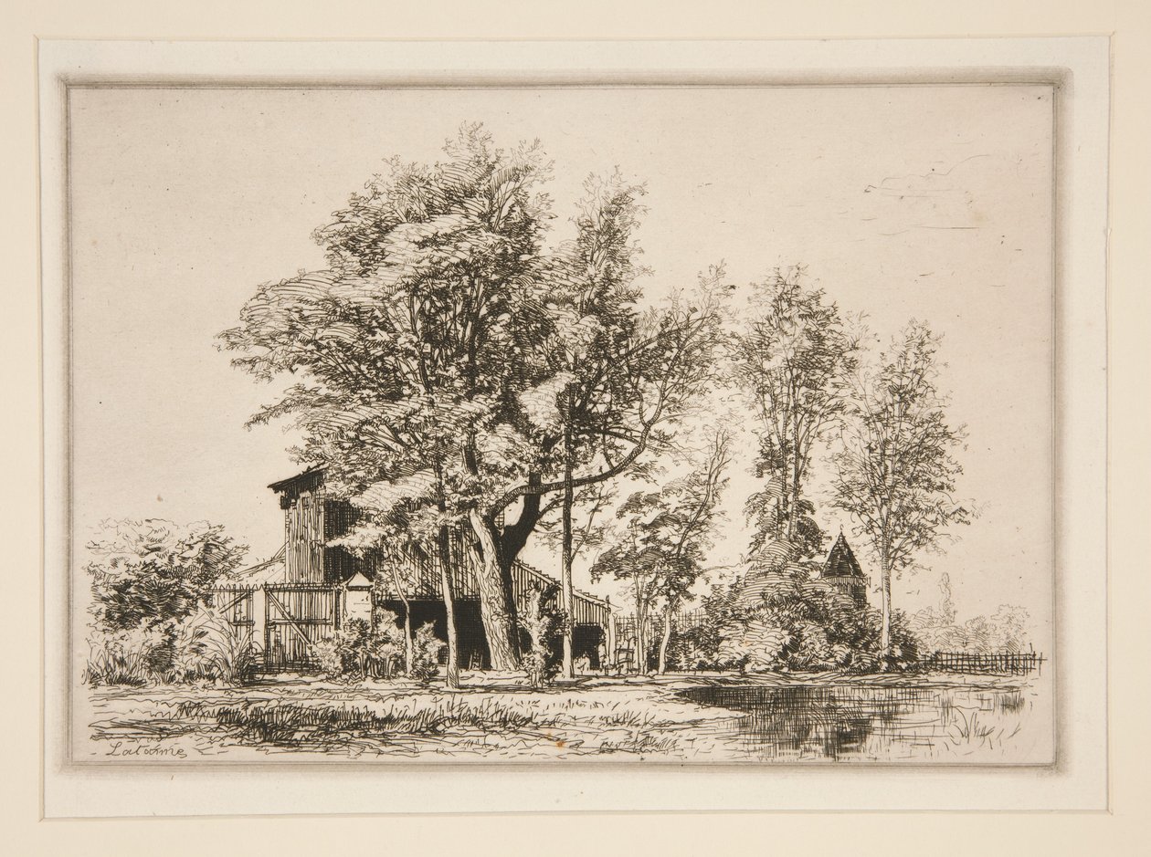 Acacias de Maxime Lalanne