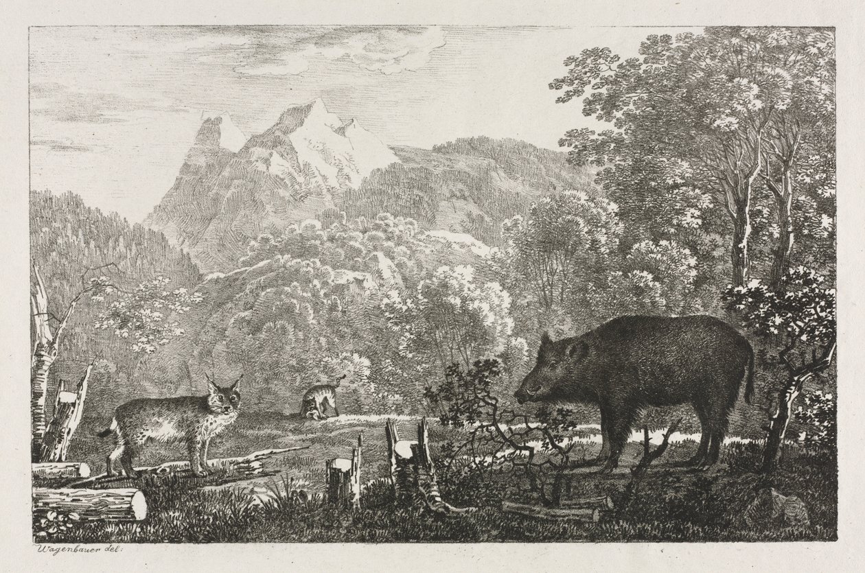 Jabalí, gato montés y lince, 1807 de Maximilian Josef Wagenbauer