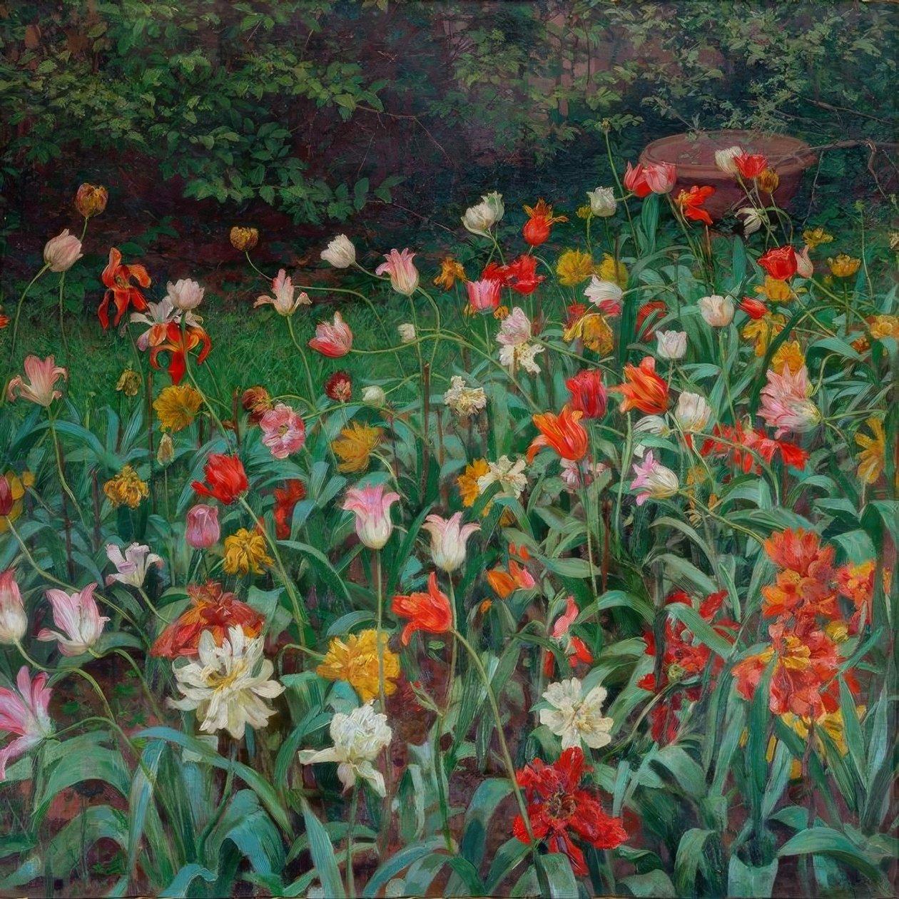Tulipanes de Maximilian Lenz