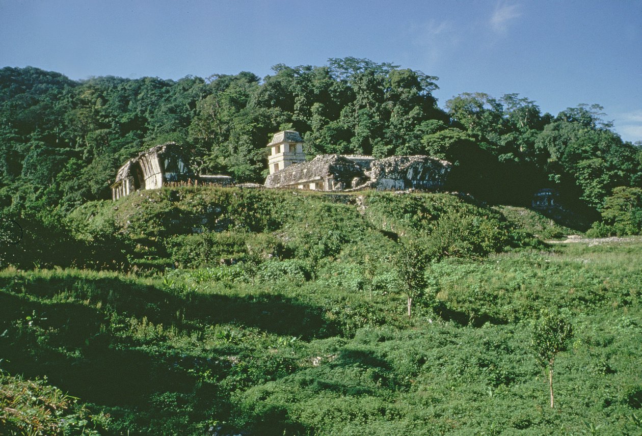 Palacio y Observatorio en el montículo, Maya, Período Clásico Tardío de Mayan