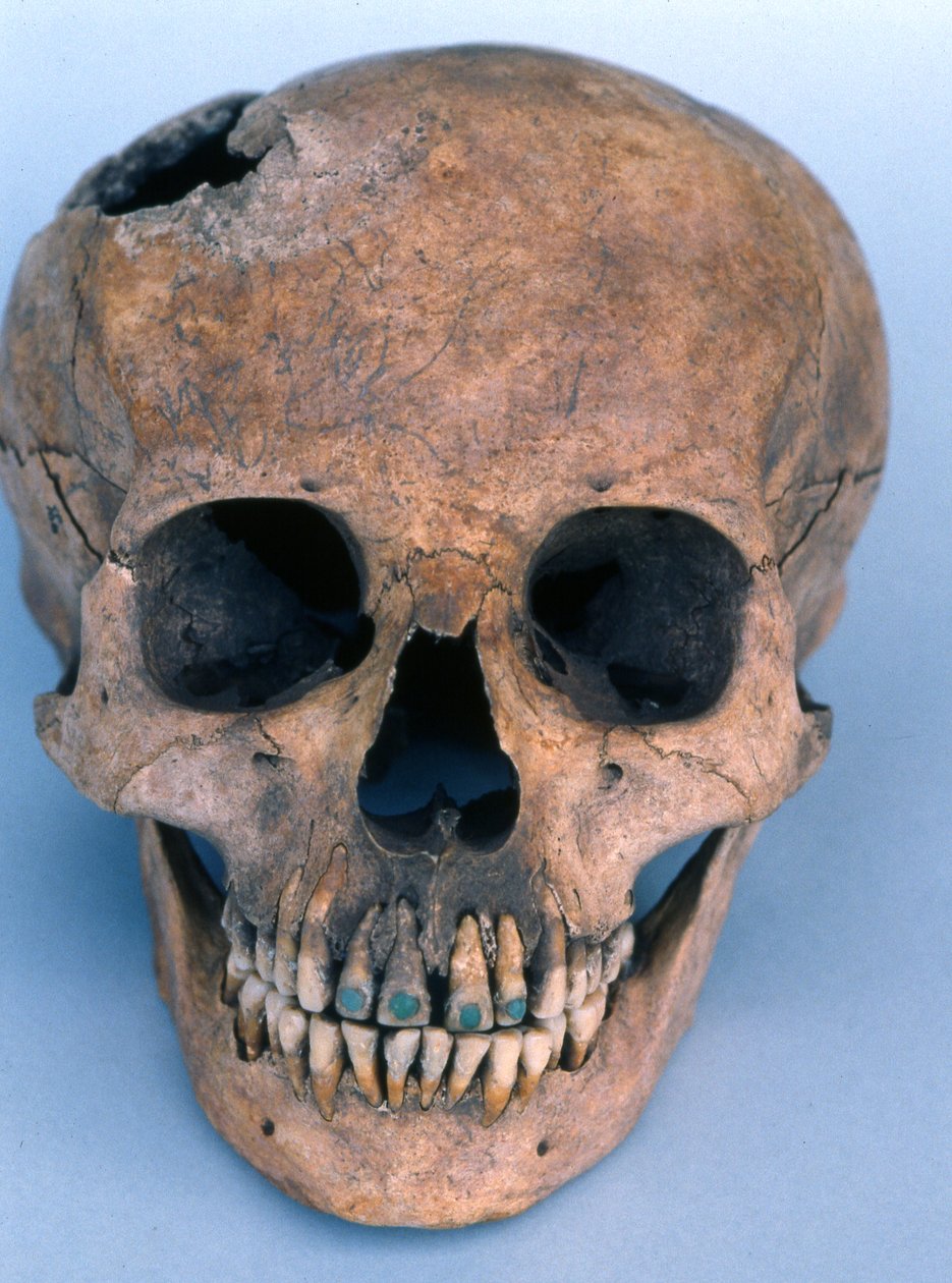 Cráneo con dientes incrustados de jade, 1990 de Mayan
