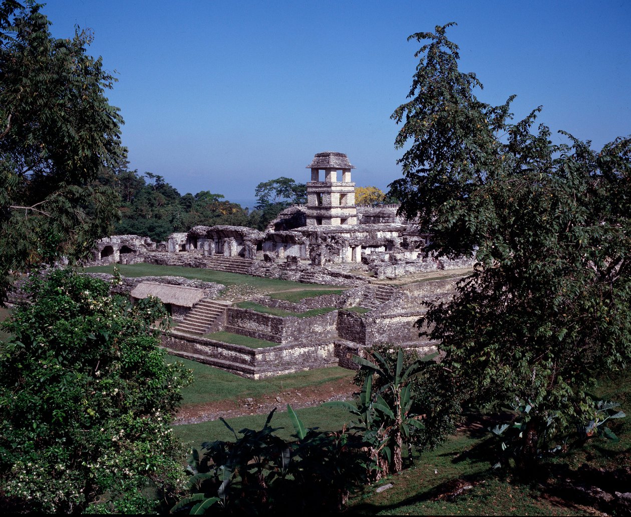 Civilización precolombina: vista del sitio de Palenque en Chiapas, período clásico maya de Mayan Mayan