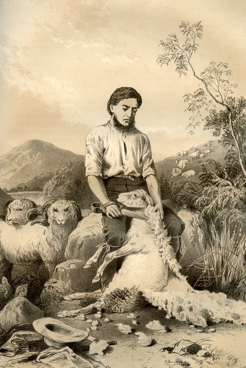 Esquila de ovejas, 1879 de McFarlane and Erskine