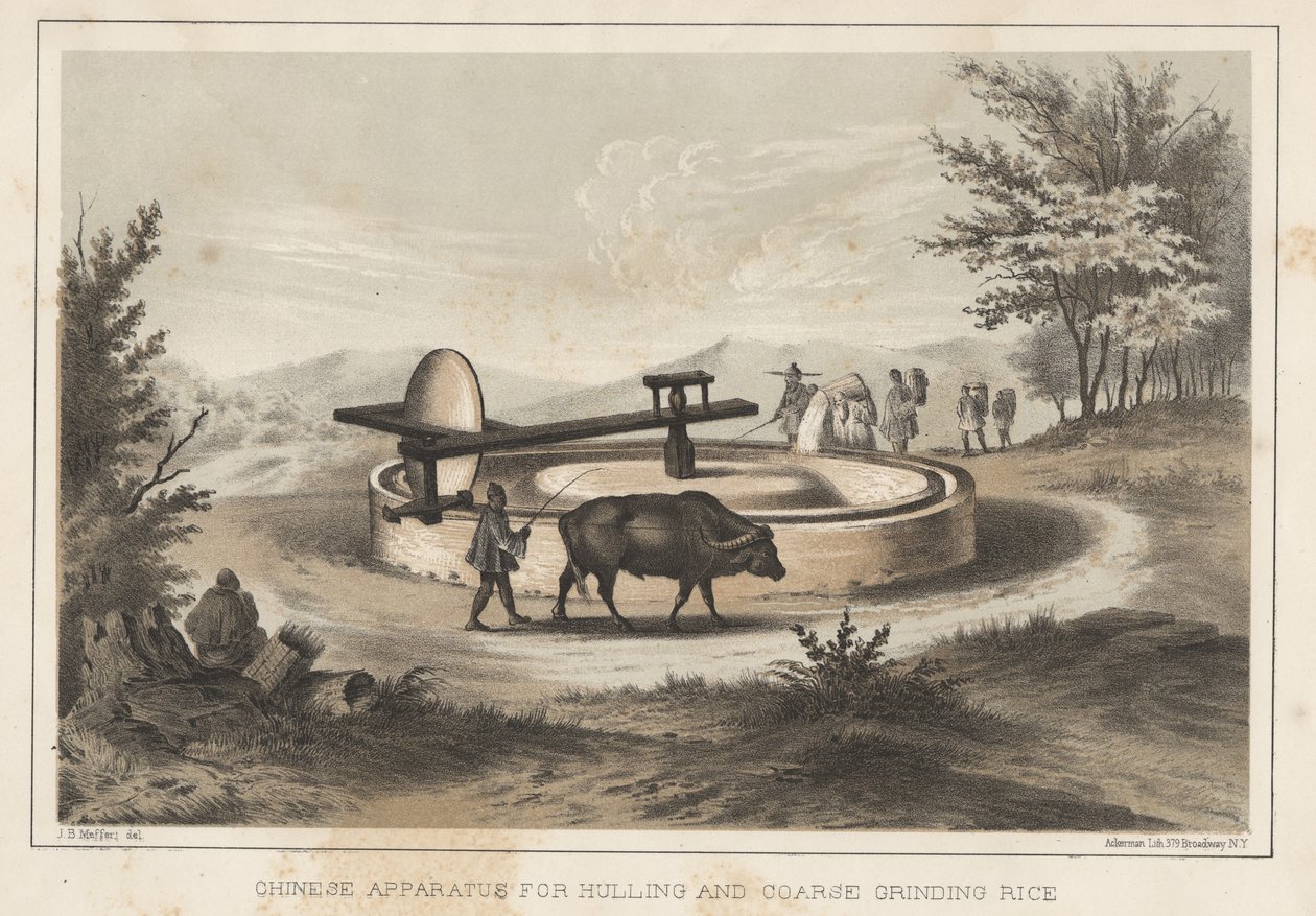 Aparato chino para descascarillar y moler arroz, 1855 de Meffert