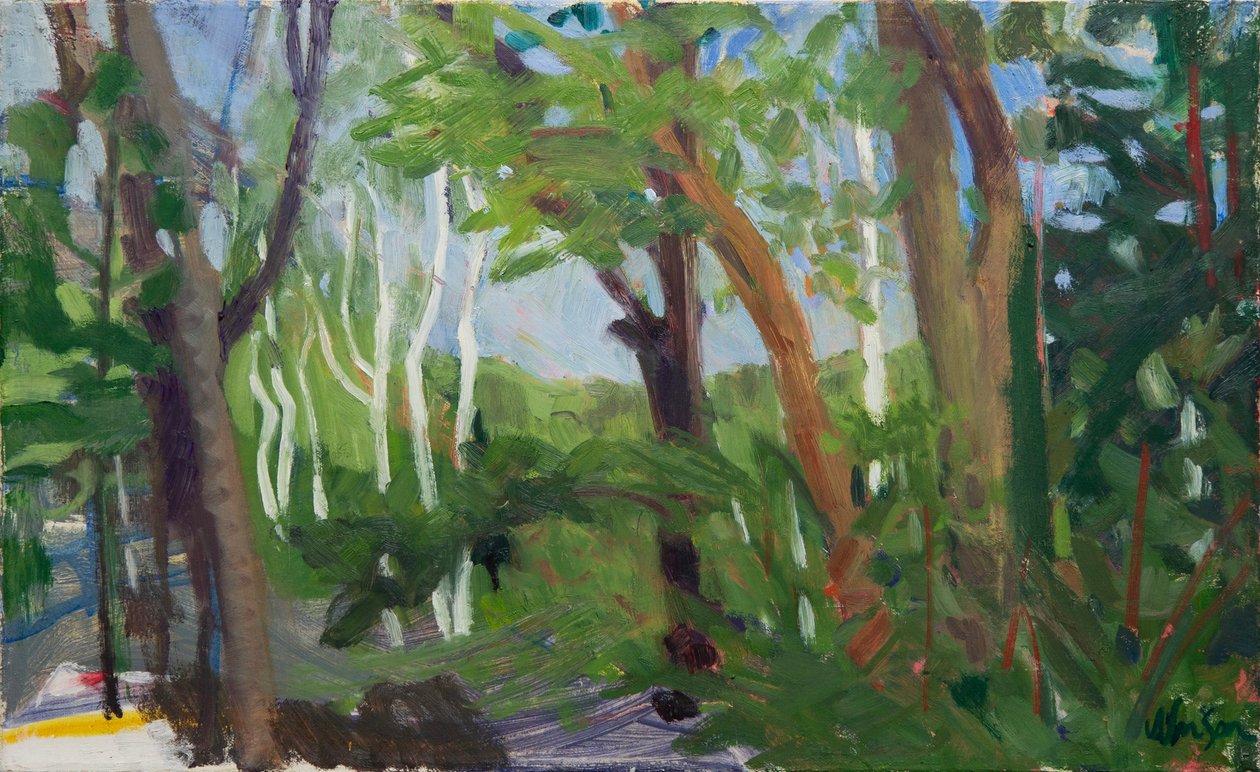 Un rodal de abedules, 2016 (óleo sobre lienzo) de Megan Williamson