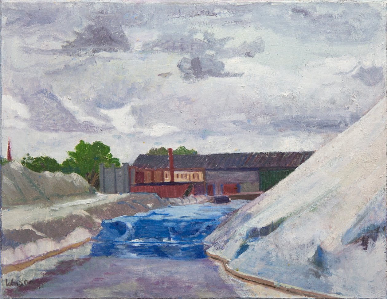 Presa de sal en el Cal Sag, 2014 (óleo sobre lienzo) de Megan Williamson