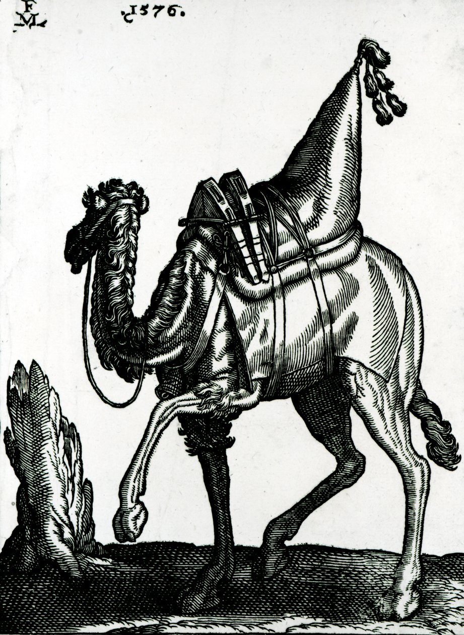 Camello (xilografía) de Melchior Lorck