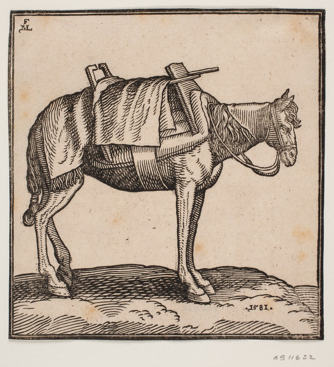 Un caballo de carga ensillado de Melchior Lorck
