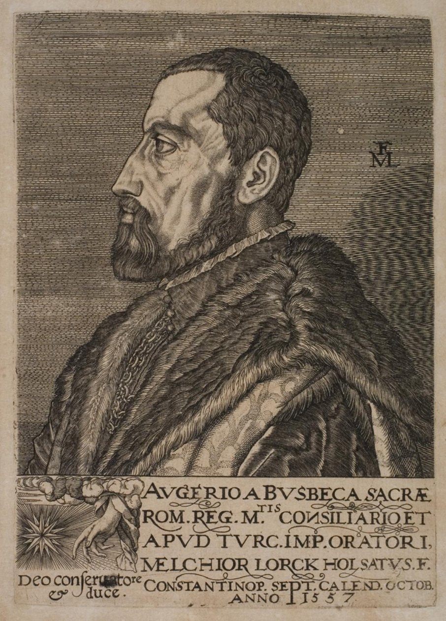 Retrato de Ogier Ghiselin de Busbecq, enviado imperial de Melchior Lorck