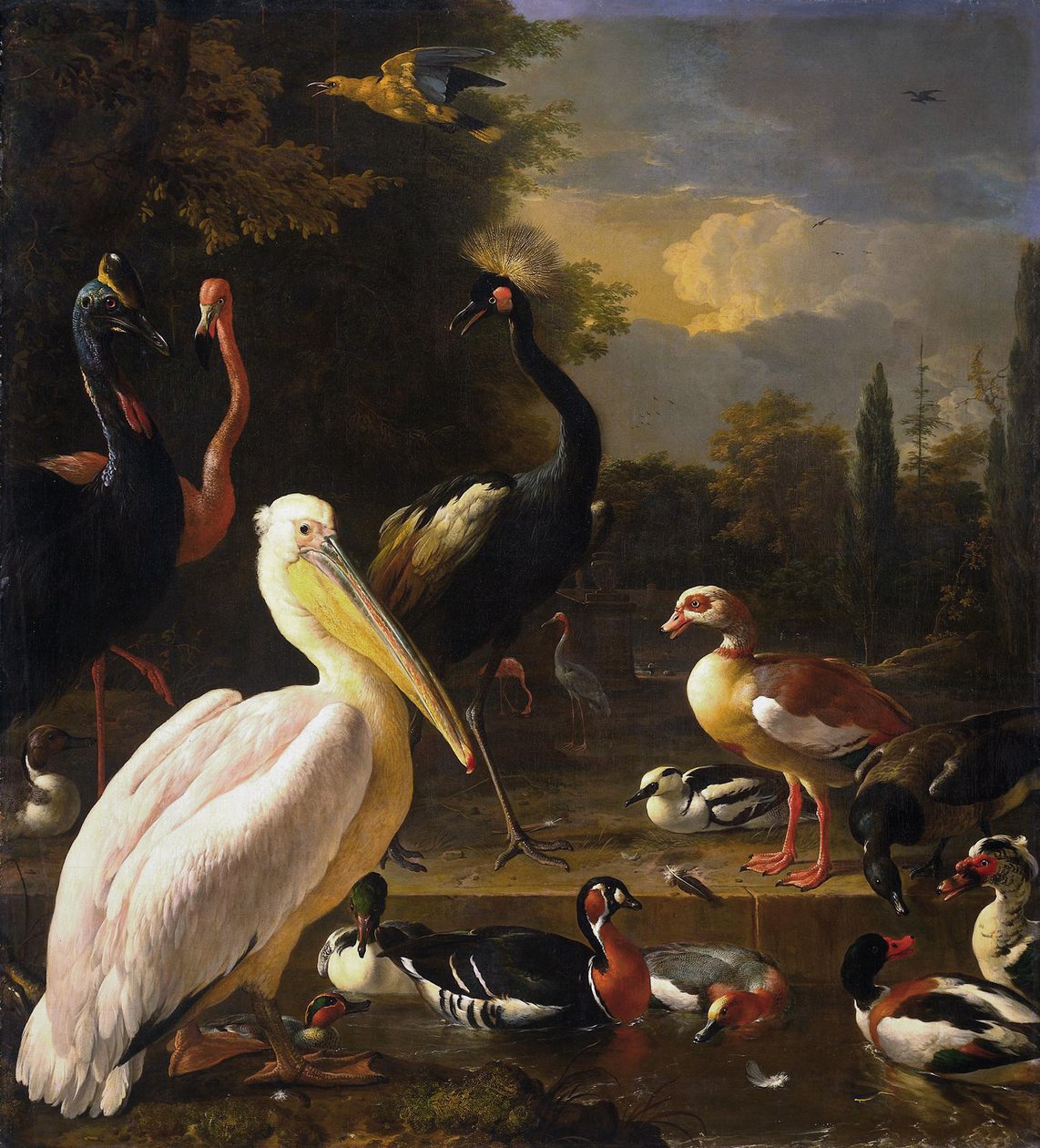 Un pelícano y otras aves cerca de un estanque, conocido como "La pluma flotante de Melchior d