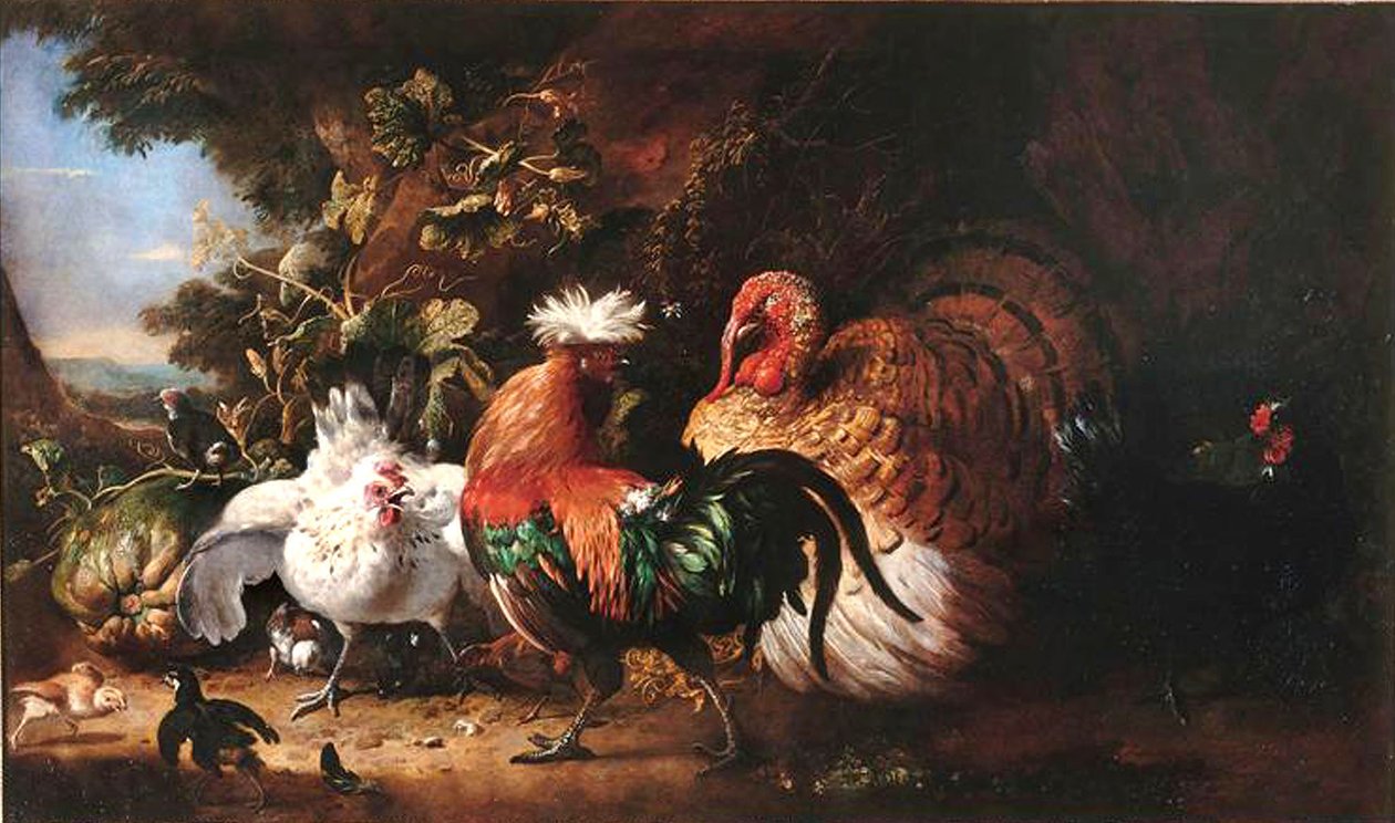 Francés: Oiseaux de basse-cour de Melchior d