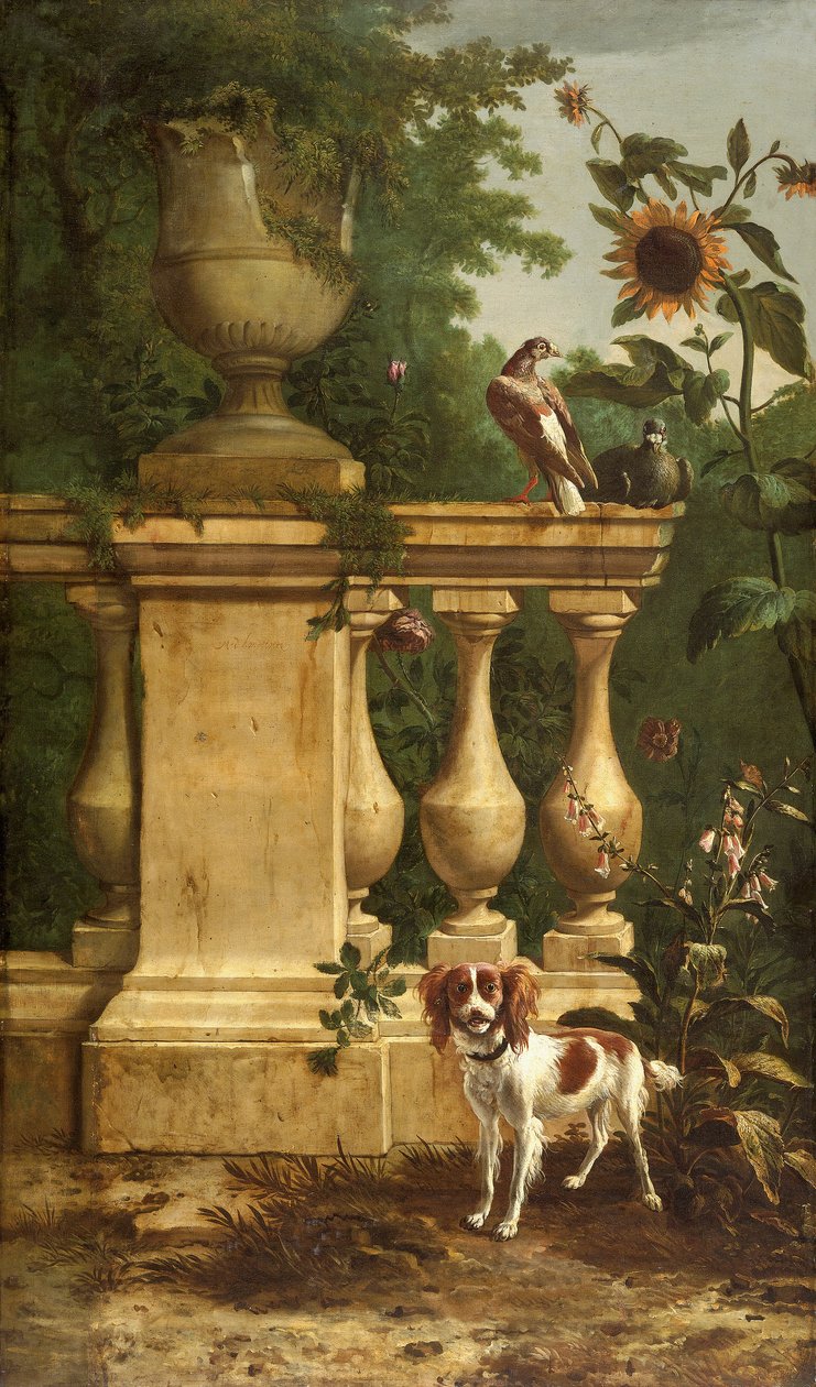 Palomas y un perro en un jardín, c1660-1690 de Melchior d