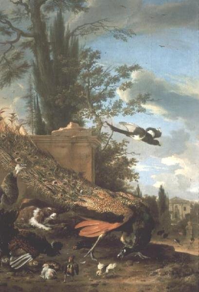 Un pavo real y un spaniel en el jardín de una villa de Melchior de Hondecoeter
