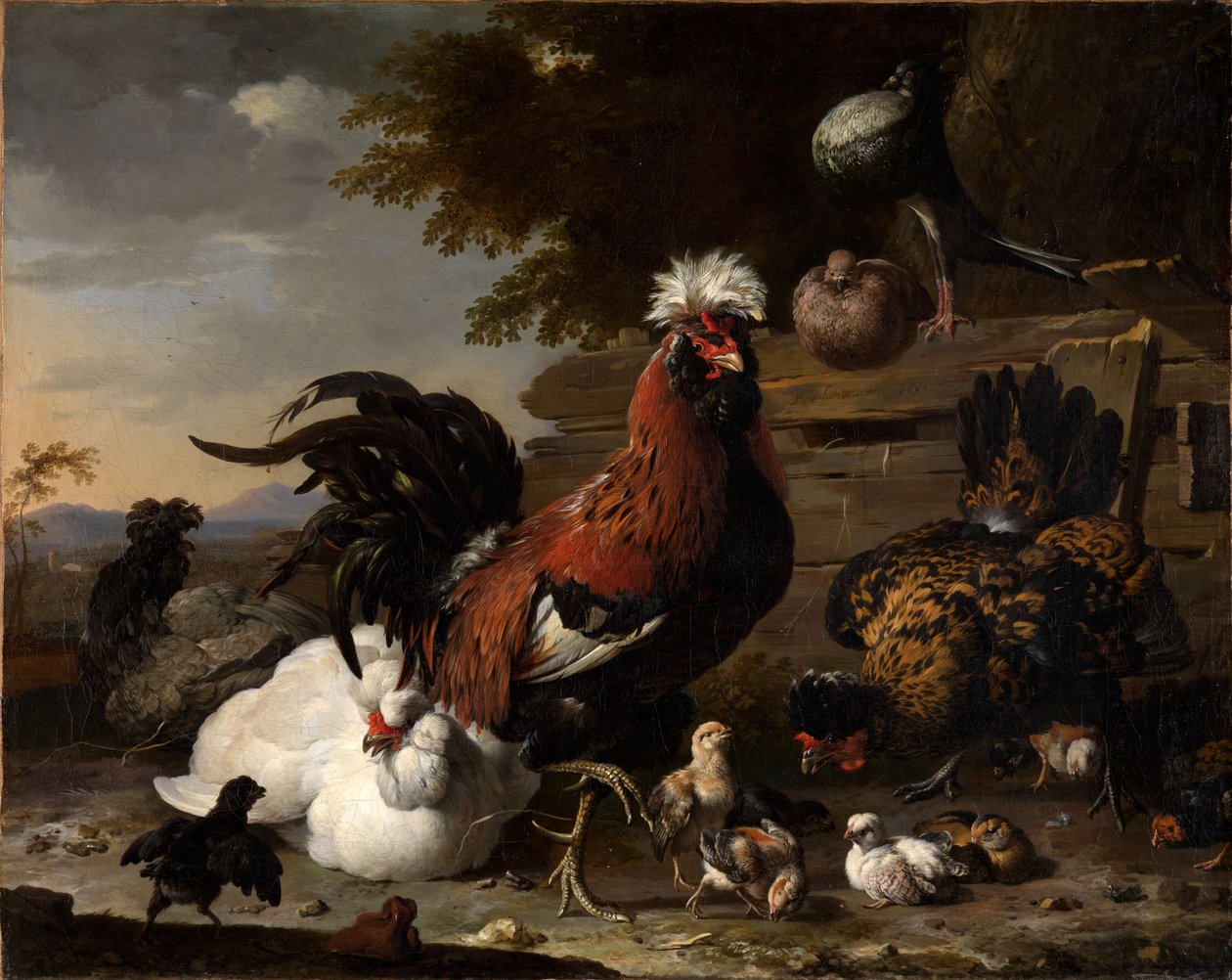 La paz en el corral de las gallinas de Melchior de Hondecoeter