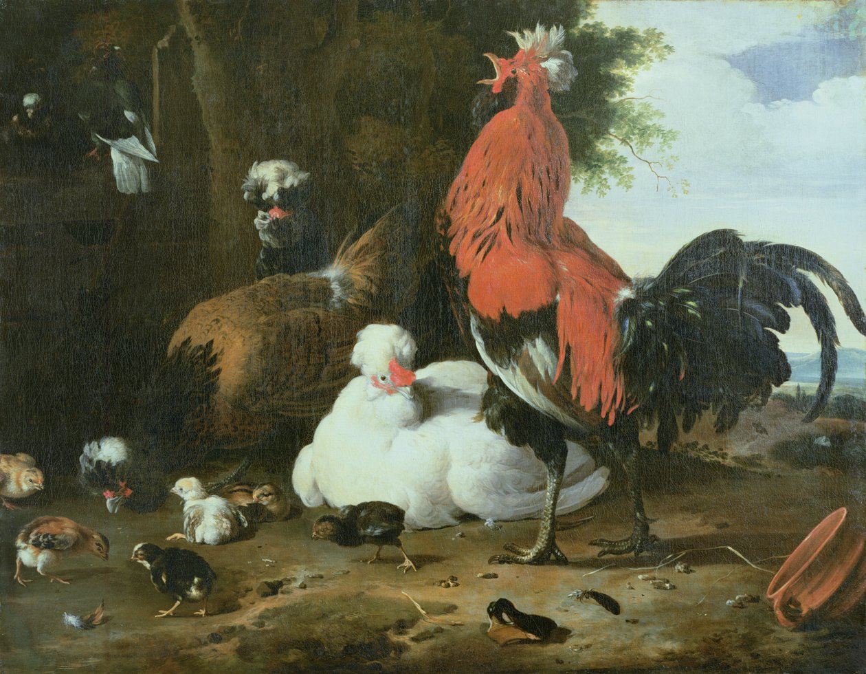 Aves de Corral con Palomas de Melchior de Hondecoeter