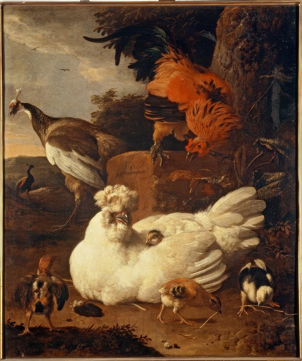 Gallina con pollitos de Melchior de Hondecoeter