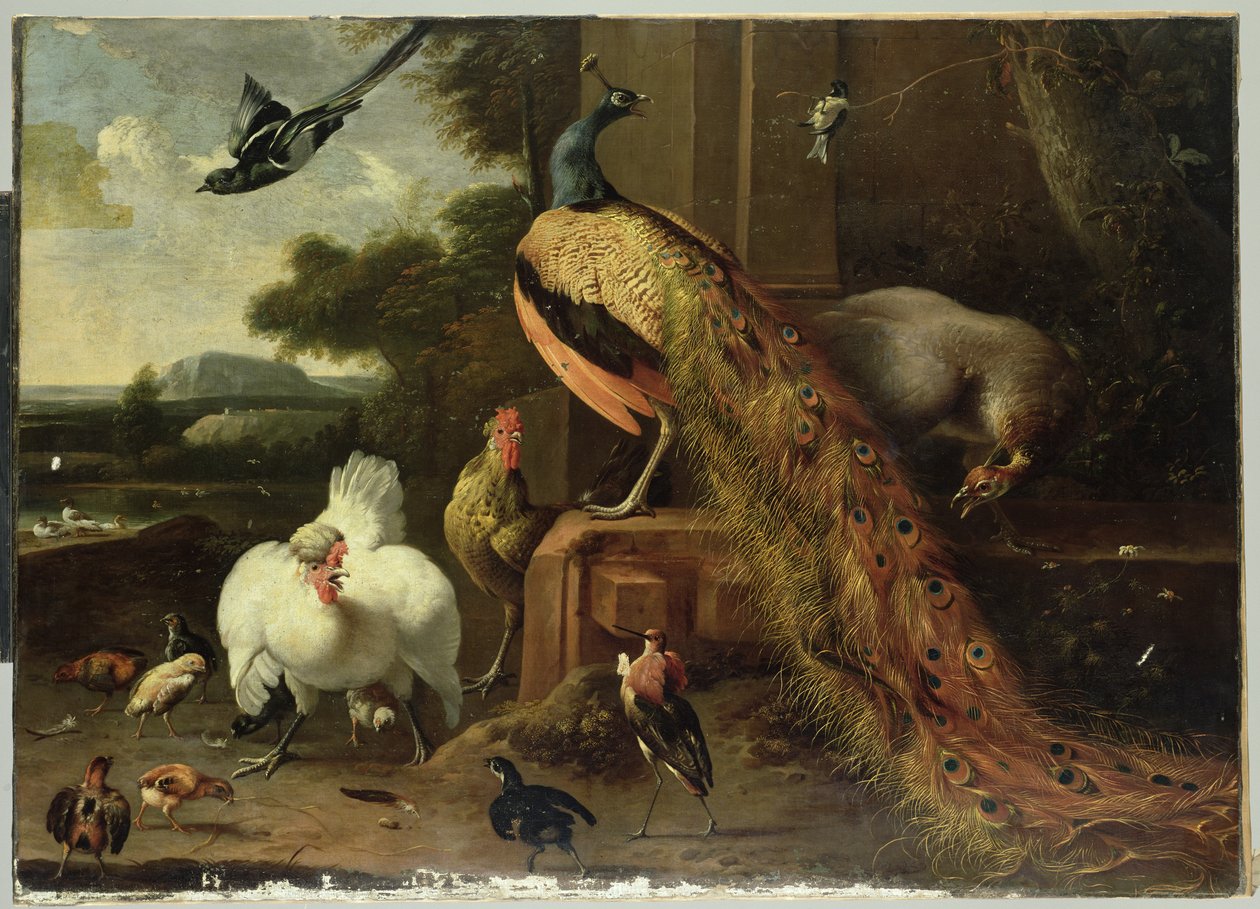 Revuelta en el gallinero de Melchior de Hondecoeter