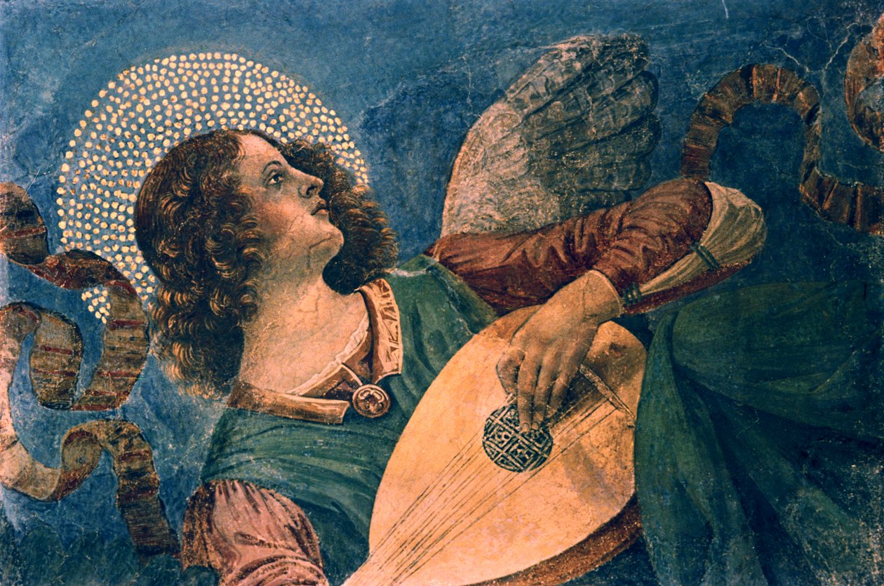 Un ángel tocando el laúd, siglo XV de Melozzo da Forli