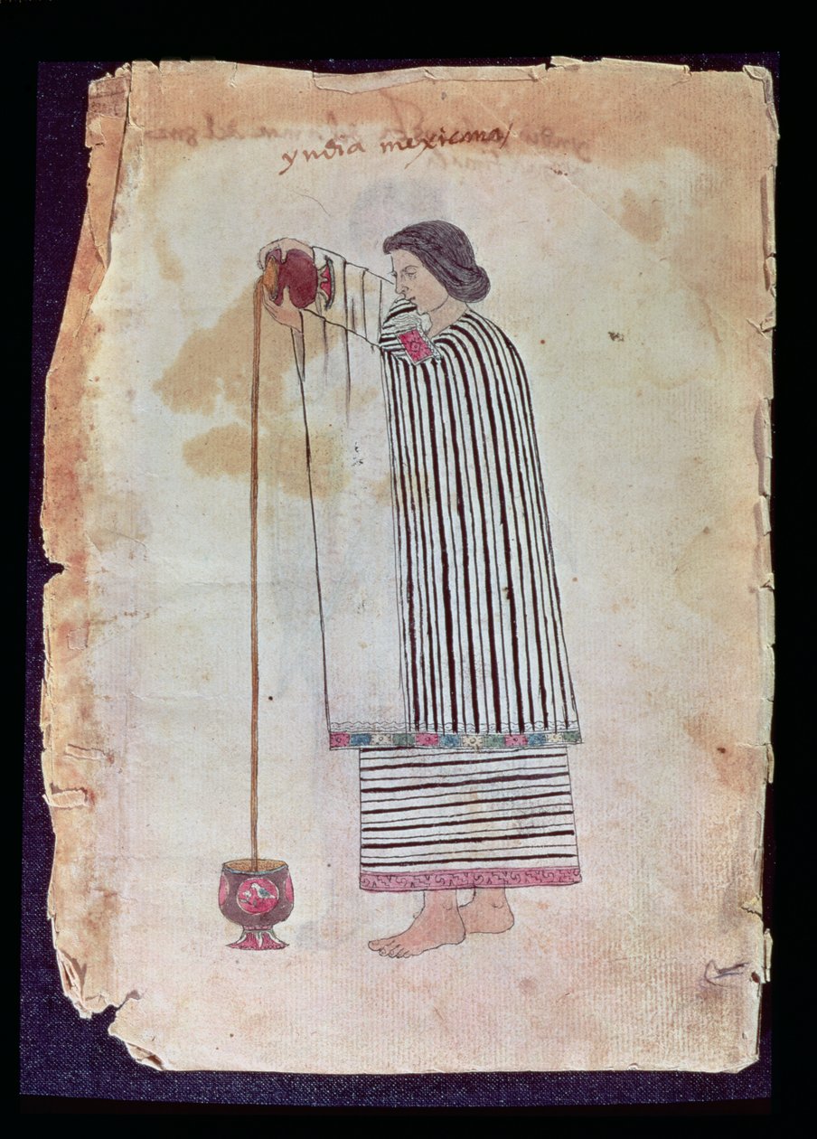 Indio Mexicano Preparando Chocolate, del Códice Tudela, 1553 de Mexican School
