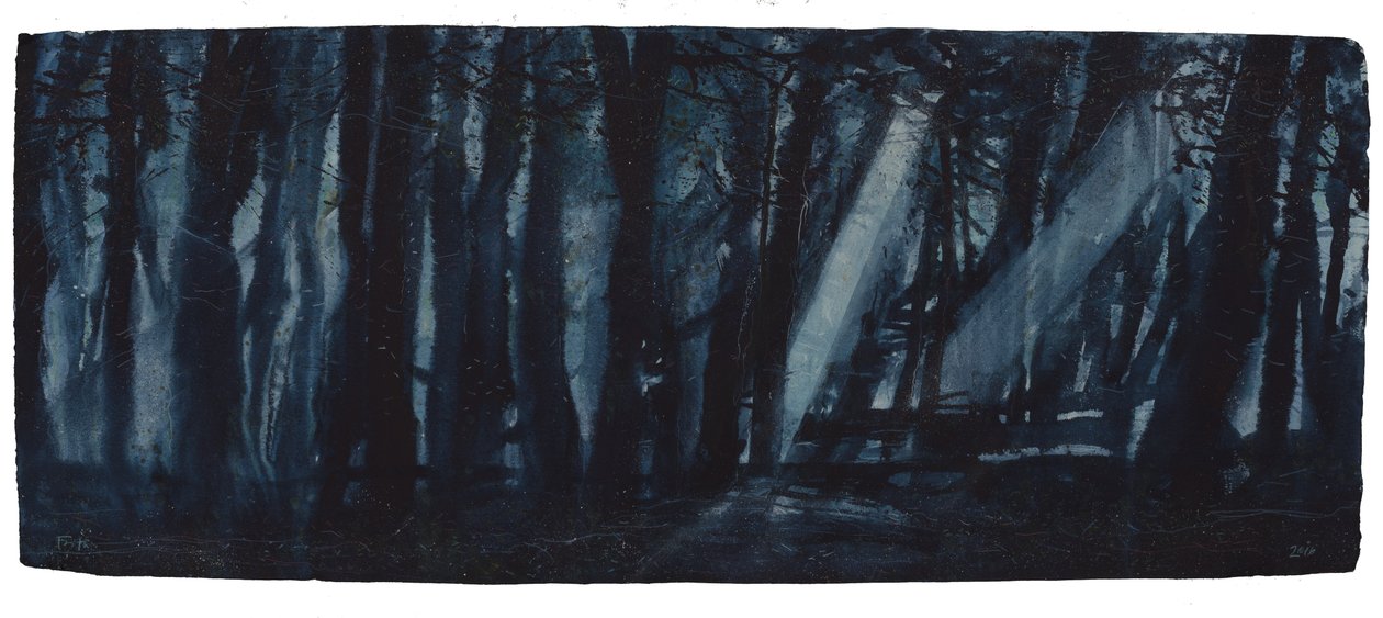 Bosques iluminados por la luna de Michael Frith