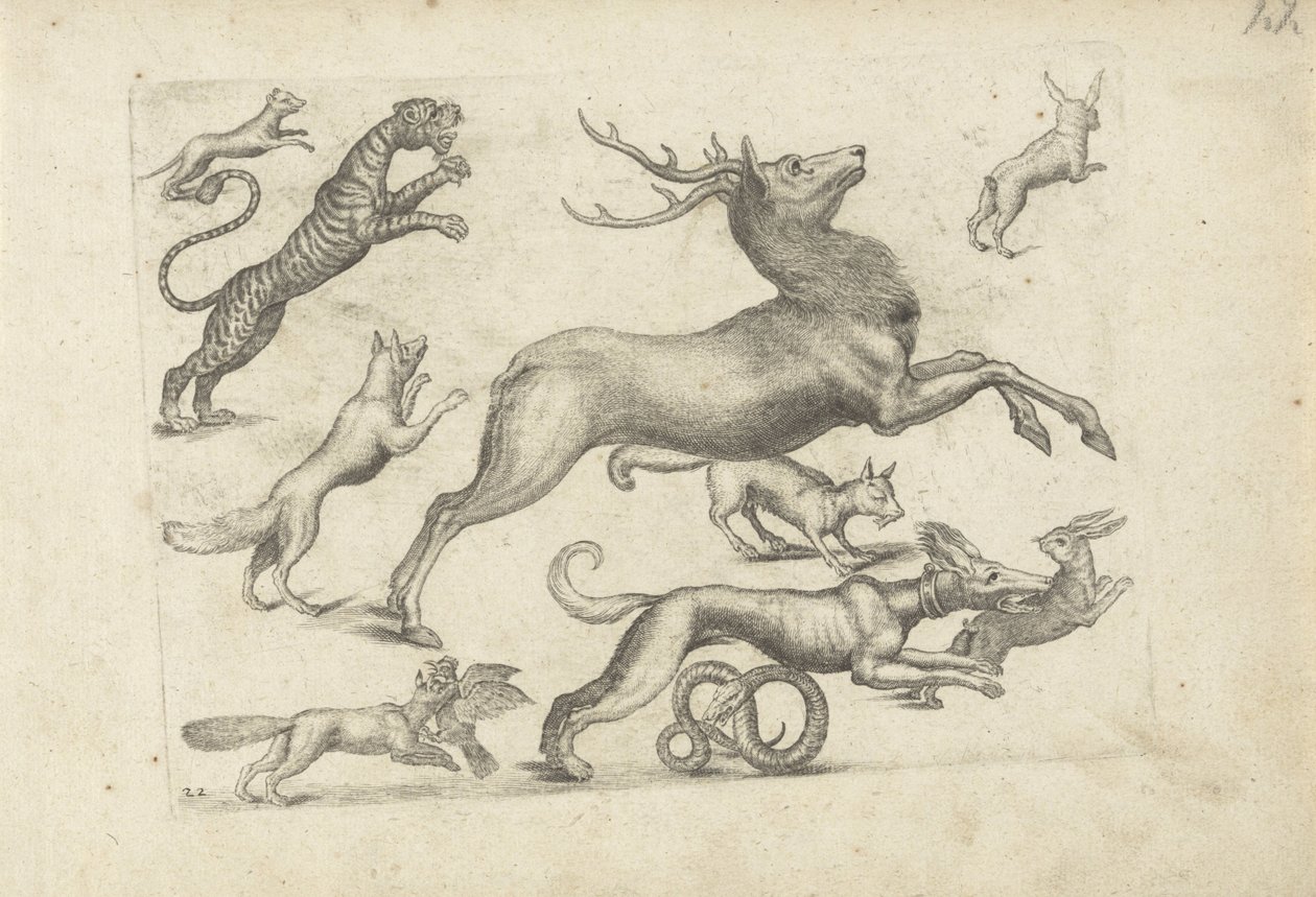 Hoja de estudio con ejemplos de dibujos: varios animales de Michael Snijders (attributed to)