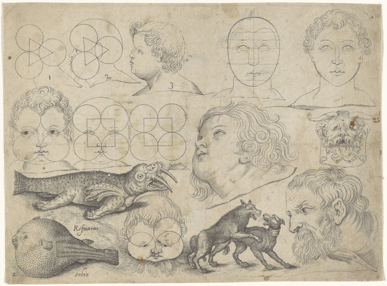 Hoja de estudio con ejemplos de dibujo: figuras, animales
Ejemplos de dibujos (título de la serie) de Michael Snijders
