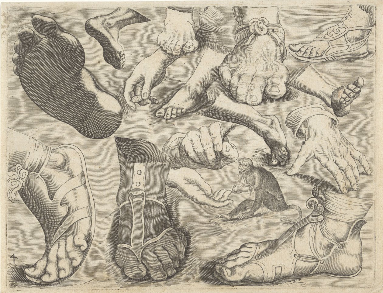 Hoja de estudio con ejemplos de dibujo: manos, pies y un mono
Ejemplos de dibujos (título de la serie) de Michael Snijders