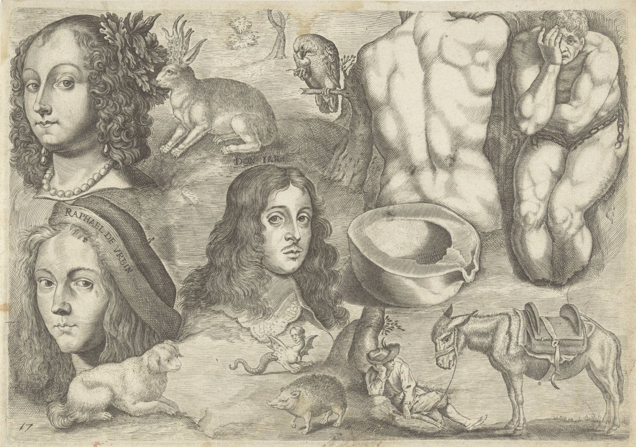 Hoja de estudio con ejemplos de dibujo: cabezas, animales, figuras
Ejemplos de dibujos (título de la serie) de Michael Snijders