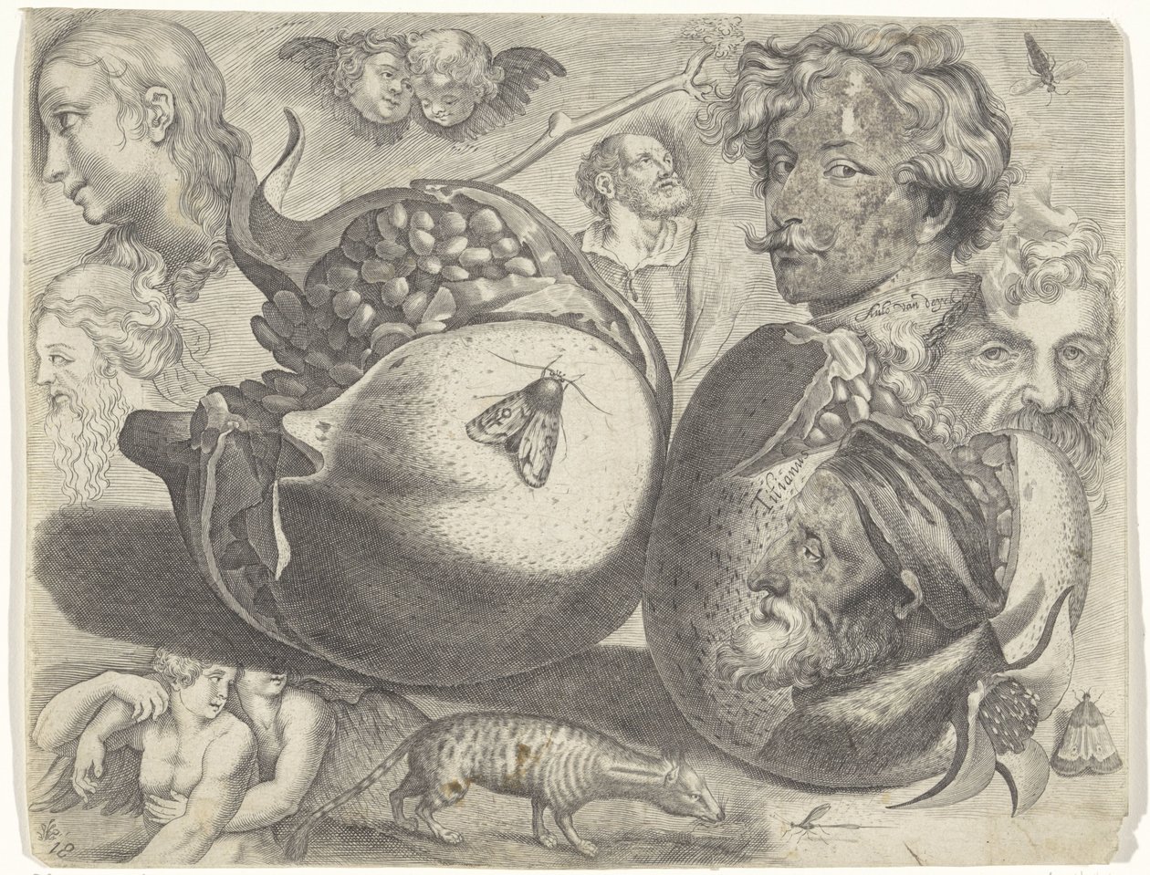 Hoja de estudio con ejemplos de dibujo: cabezas, figuras, frutas, animales
Ejemplos de dibujos (título de la serie) de Michael Snijders