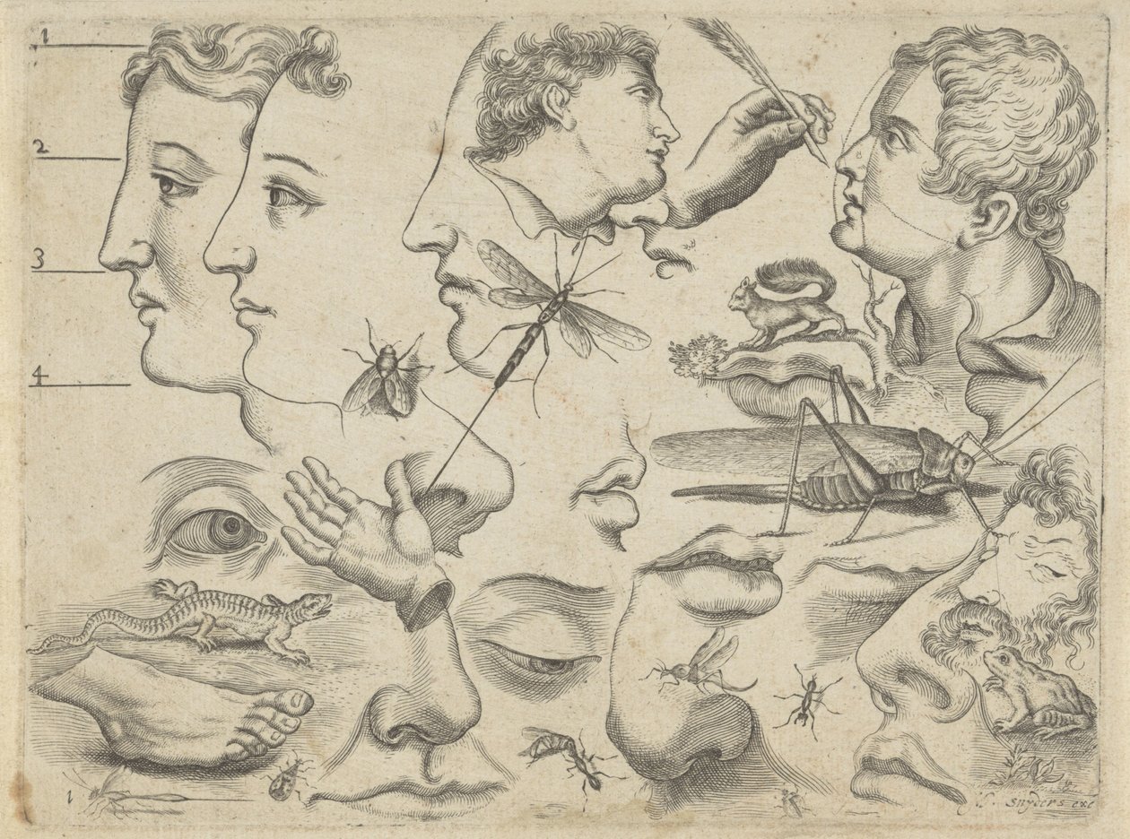 Hoja de estudio con ejemplos de dibujo: cabezas, partes del cuerpo y animales
Ejemplos de dibujos (título de la serie) de Michael Snijders