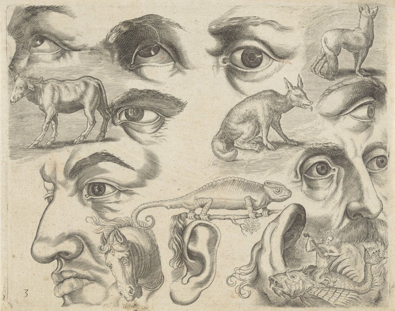 Hoja de estudio con ejemplos de dibujo: ojos, cabezas y animales
Ejemplos de dibujos (título de la serie) de Michael Snijders