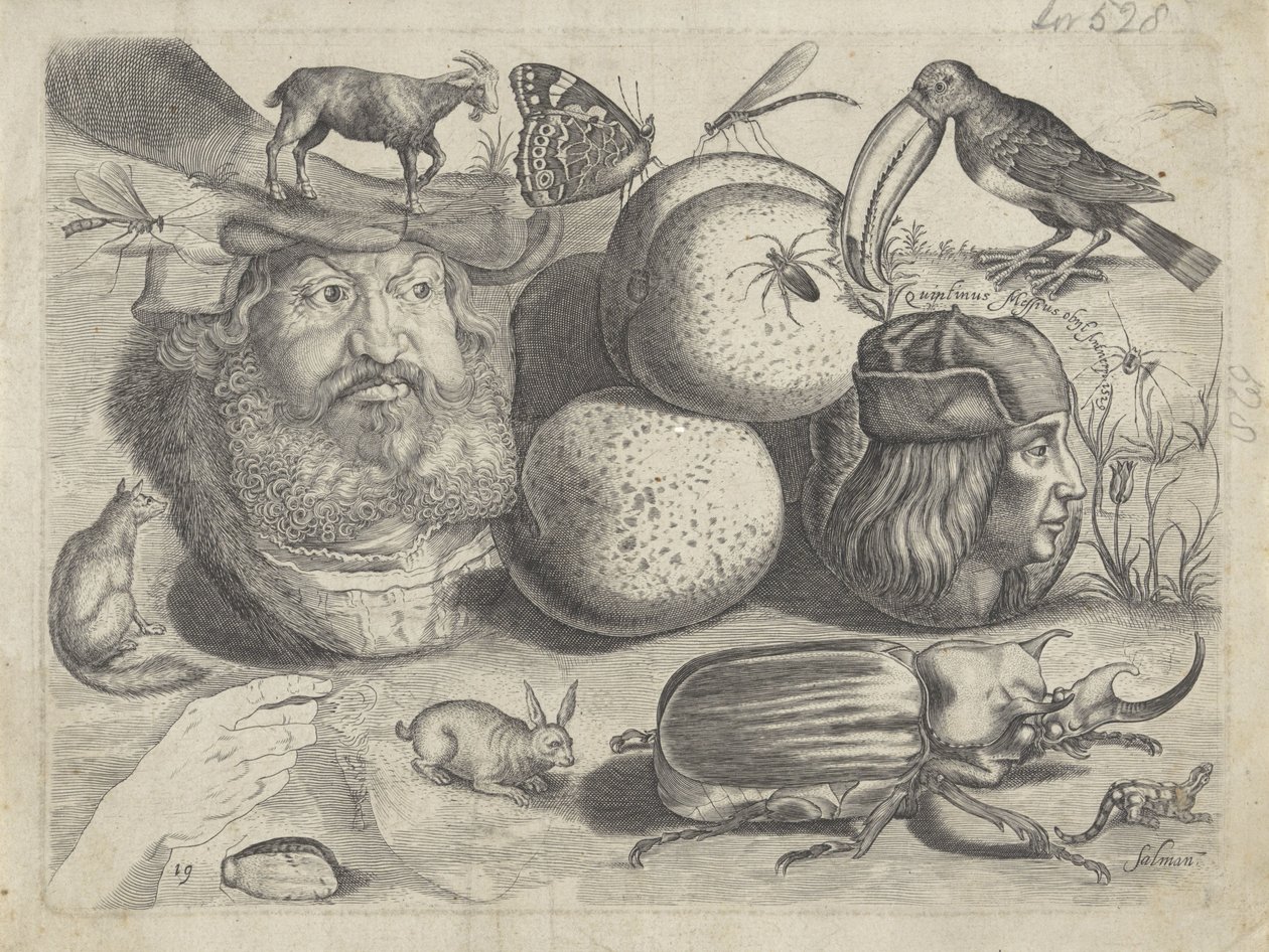Hoja de estudio con ejemplos de dibujo: retratos, animales, insectos
Ejemplos de dibujos (título de la serie) de Michael Snijders
