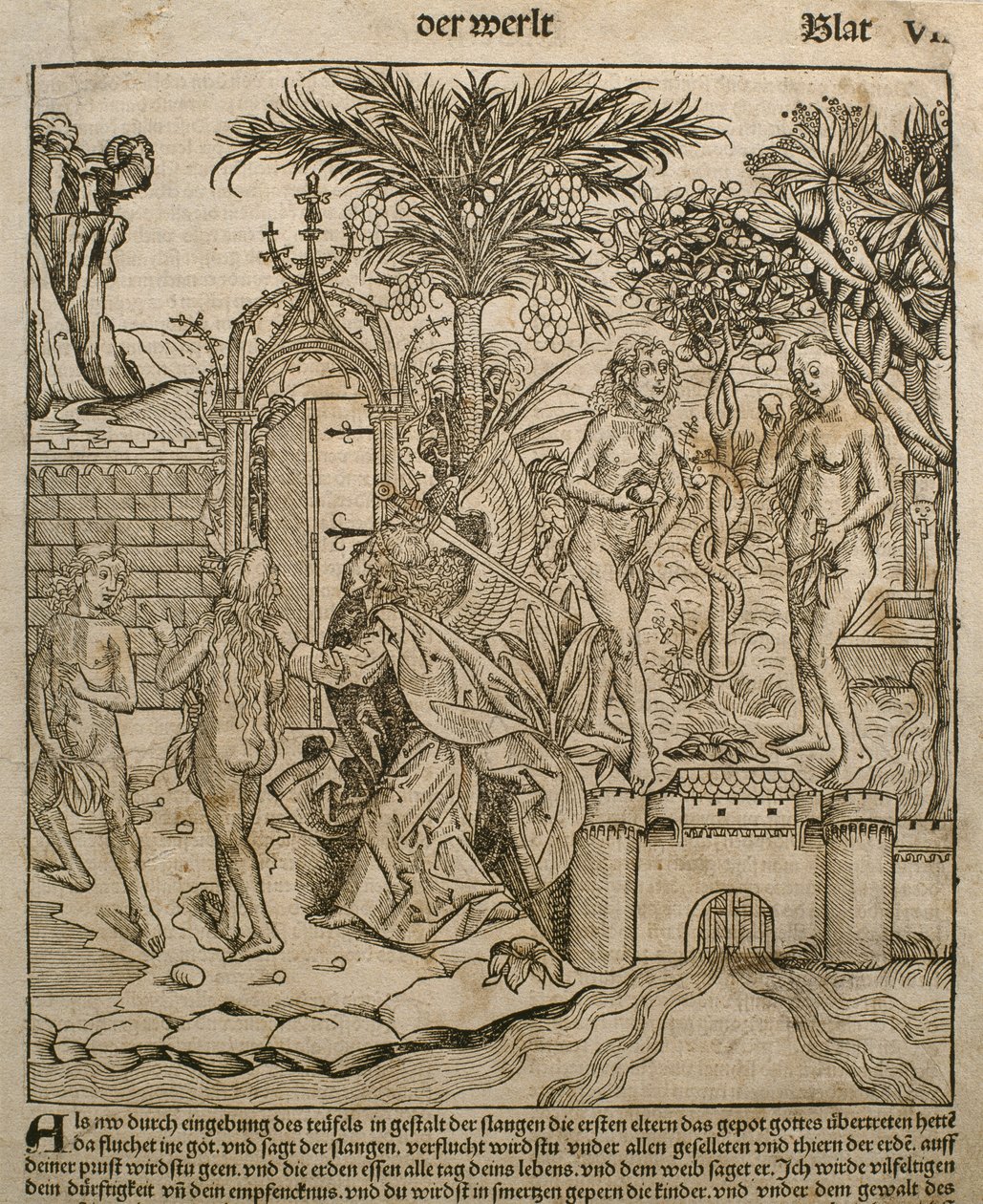 Adán y Eva, ilustración del 