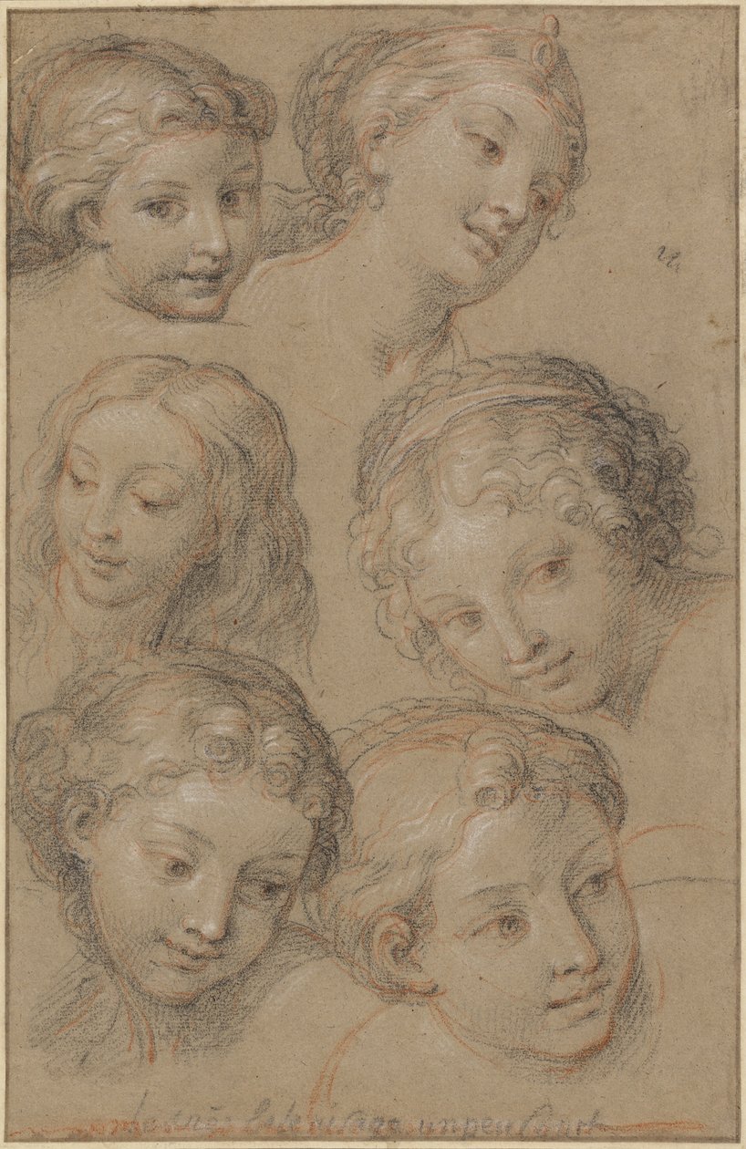Estudios de cabezas de mujeres de Michel Corneille