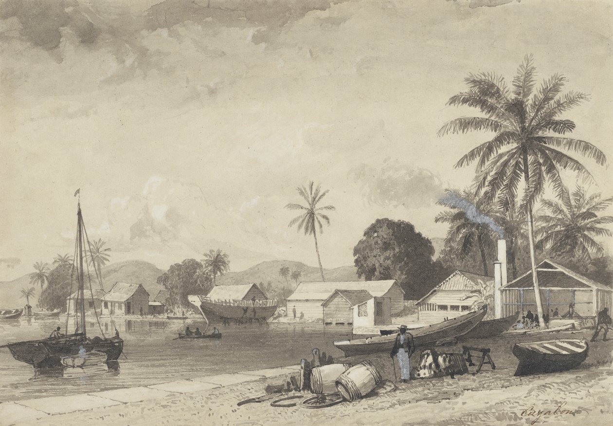 Ciudad de Corbeaux, Puerto España de Michel Jean Cazabon