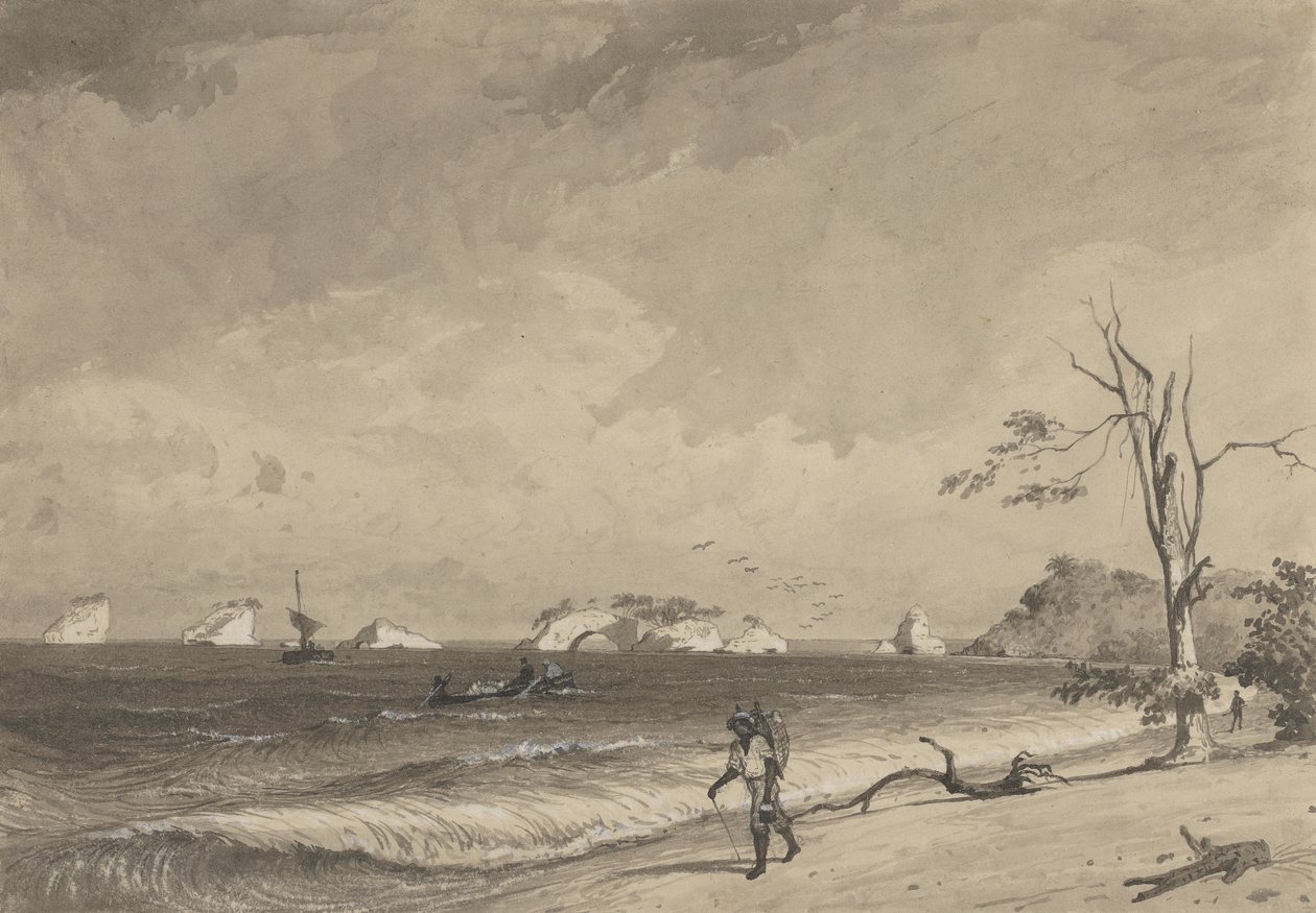 Los Gallos, Icacos Bay de Michel Jean Cazabon