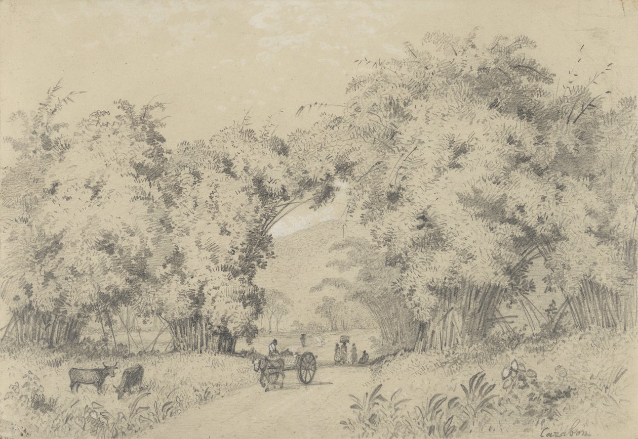 Camino de Santa Ana de Michel Jean Cazabon